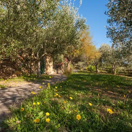 Piccola Oasi-3 By Interhome *