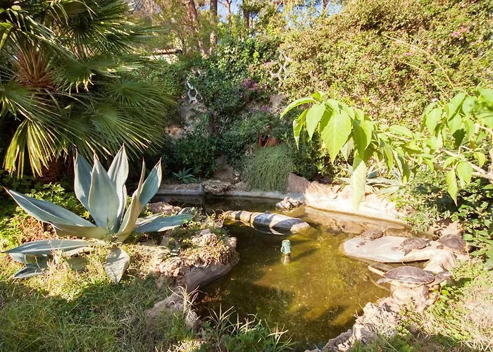 Casa vacanze Piccola Oasi 4 By Interhome