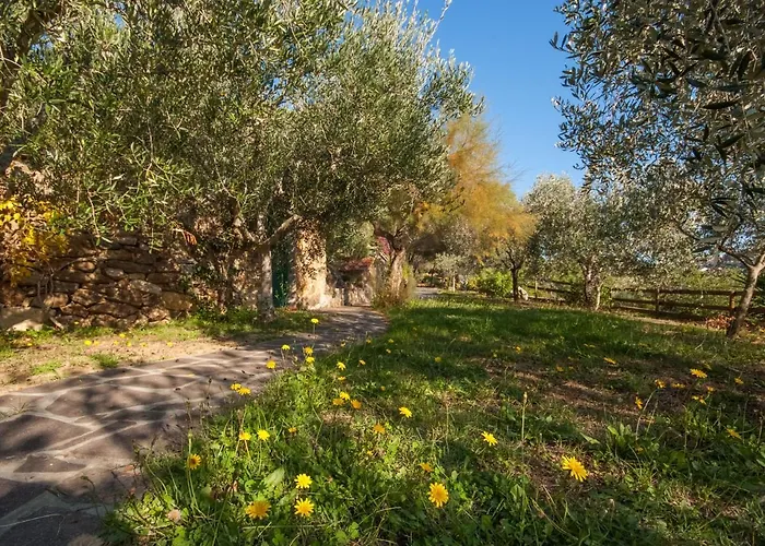 Piccola Oasi 4 By Interhome *